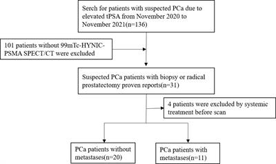 The efficacy of 99mTc-HYNIC-PSMA SPECT/CT in detecting primary lesions and metastasis in newly diagnosed prostate cancer